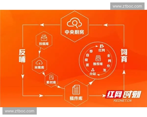 体育媒体深度变革背景下职业赛事传播生态与用户增长新趋势研究